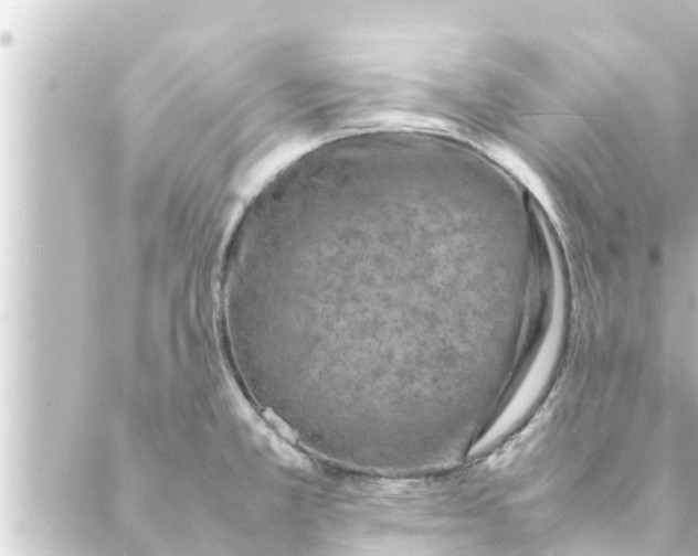 X0000088621381200706221445