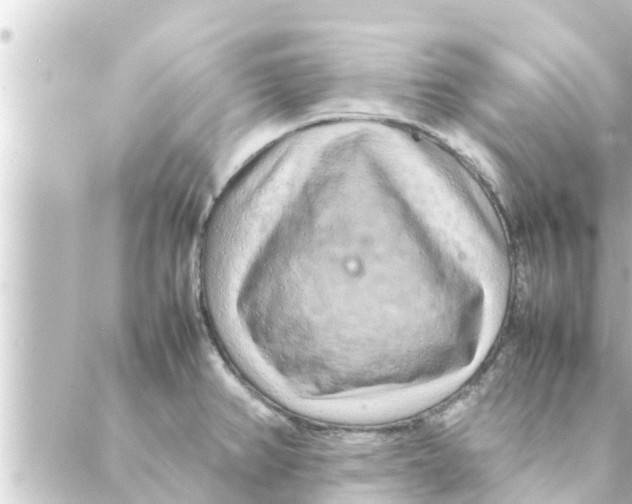 X0000088621382200706221445