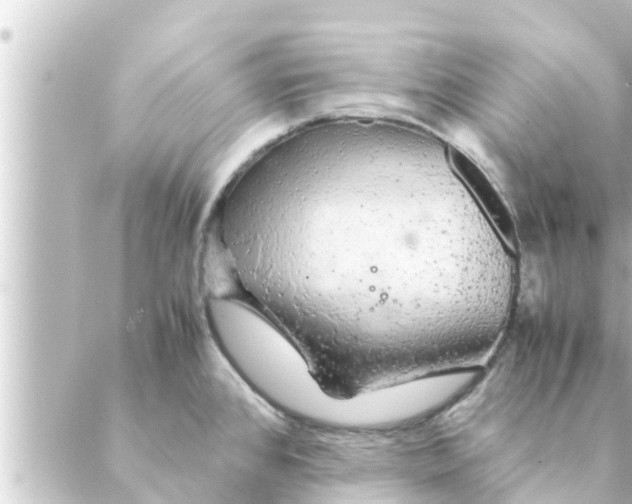 X0000088621384200706221445