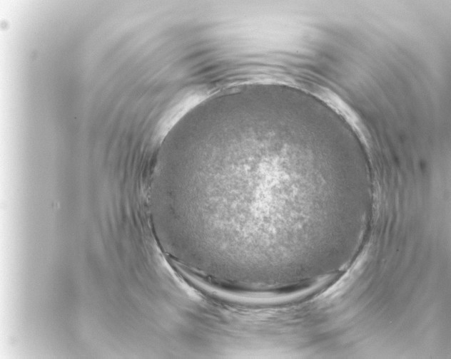 X0000088621385200706221445