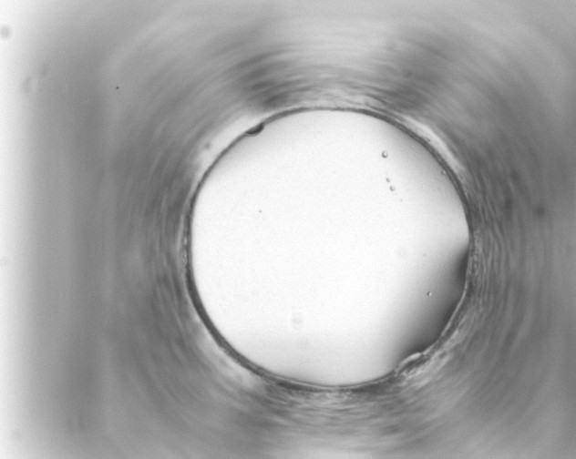 X0000088621387200706221444