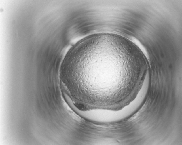 X0000088621388200706221444