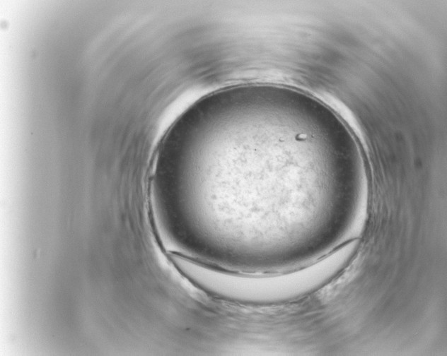 X0000088621389200706221444