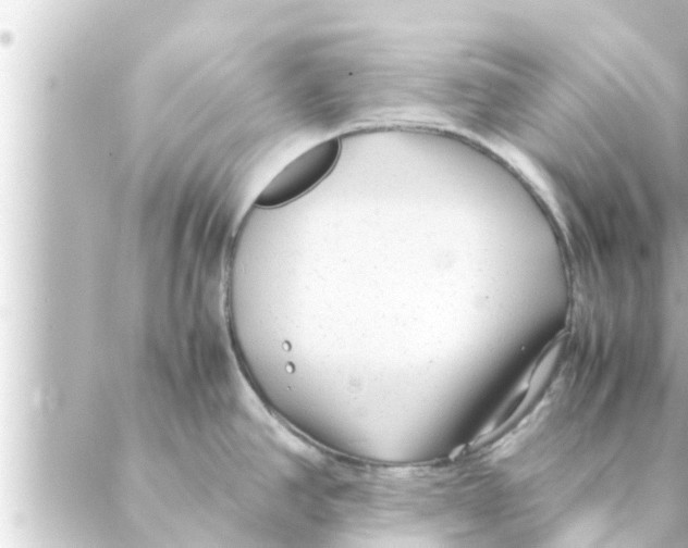 X0000088621390200706221444