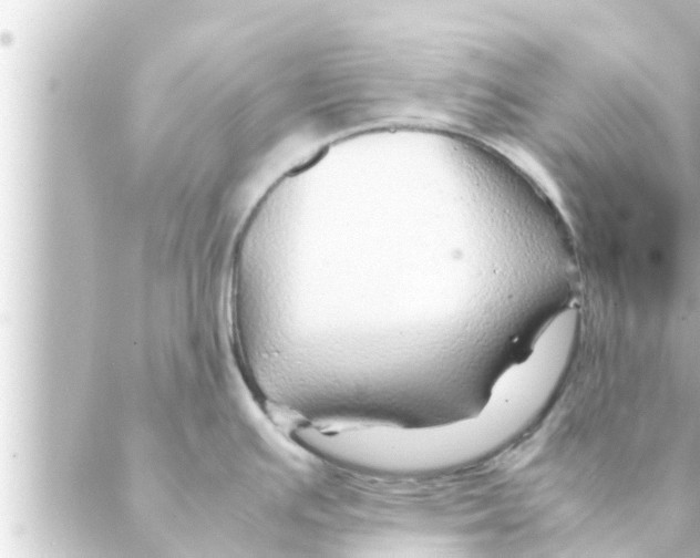 X0000088621391200706221444