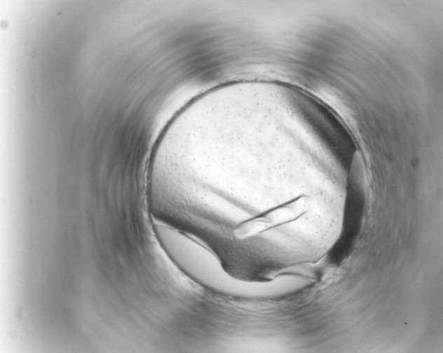 X0000088621392200706221444