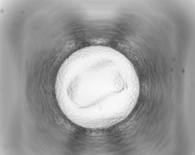 X0000088621393200706221444