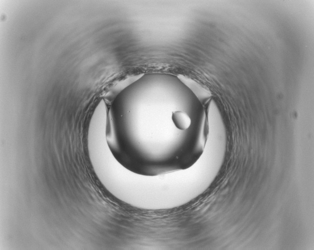 X0000088621394200706221444