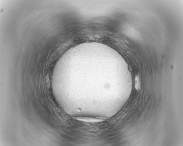 X0000088621395200706221444