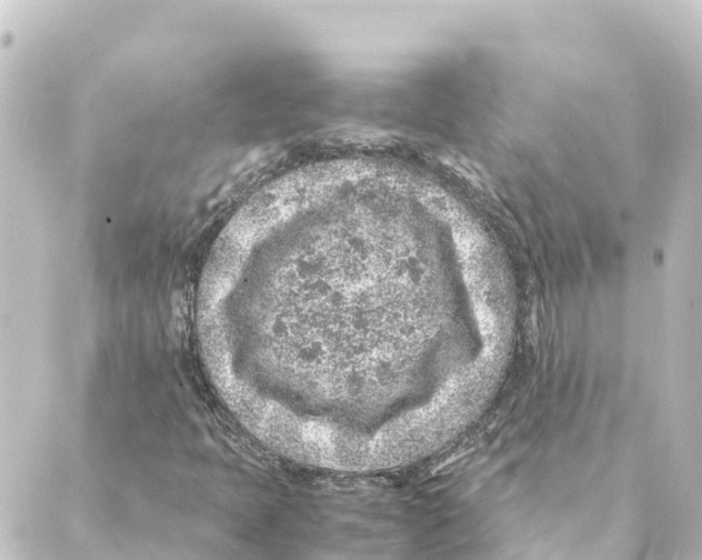 X0000088621397200706221444