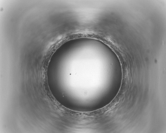 X0000088621398200706221444