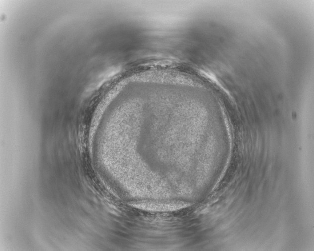 X0000088621399200706221444