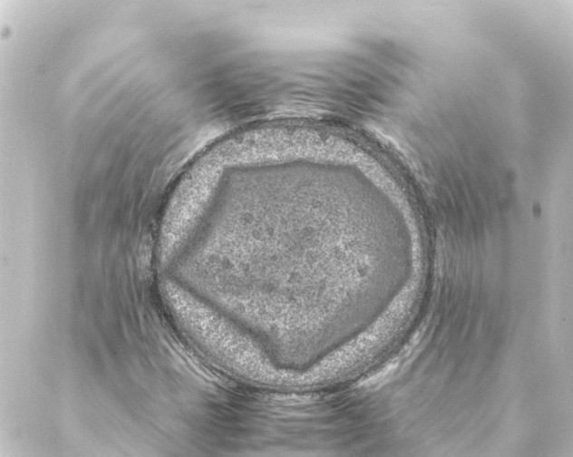 X0000088621401200706221444