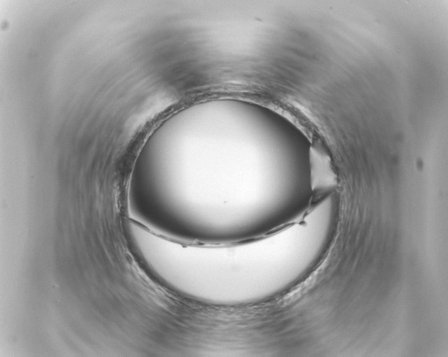 X0000088621402200706221444