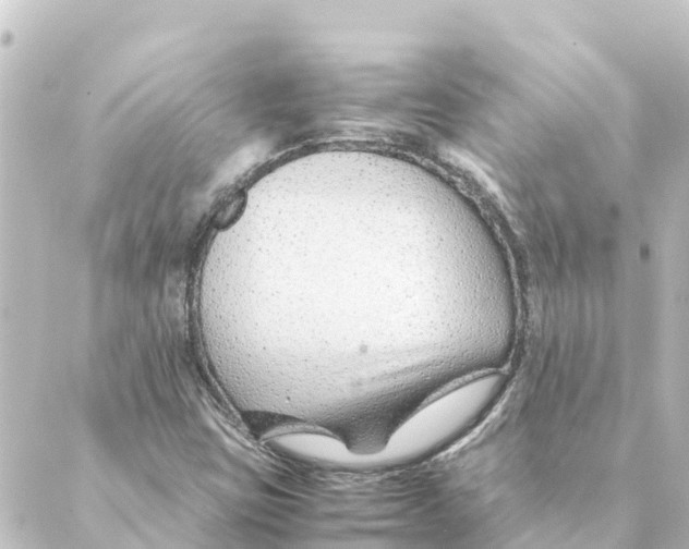 X0000088621403200706221444