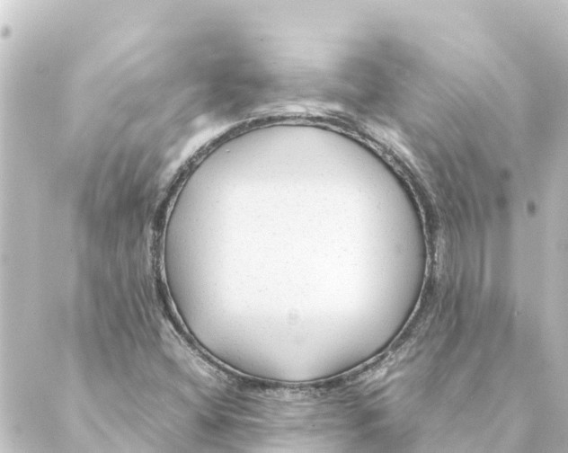 X0000088621404200706221444