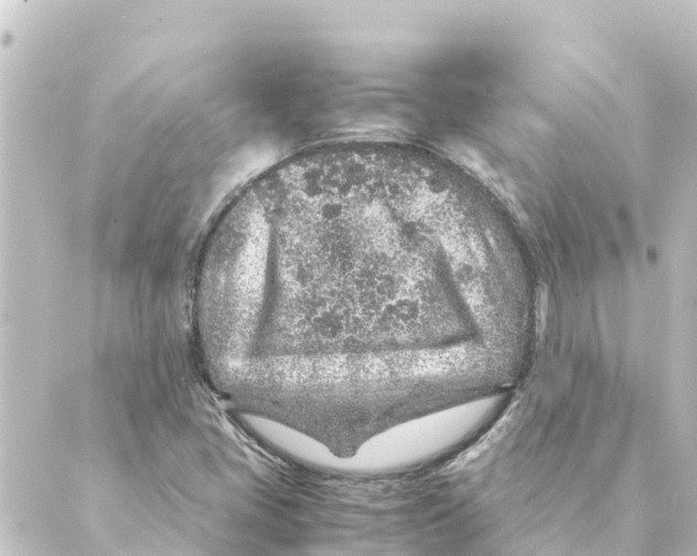 X0000088621405200706221444