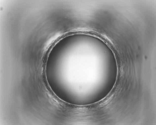 X0000088621406200706221444