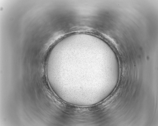 X0000088621407200706221444