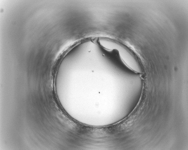 X0000088621408200706221444