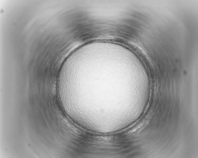 X0000088621409200706221444