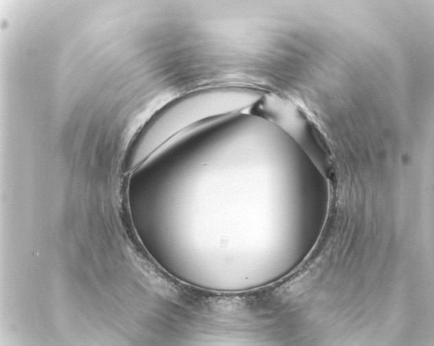 X0000088621410200706221444