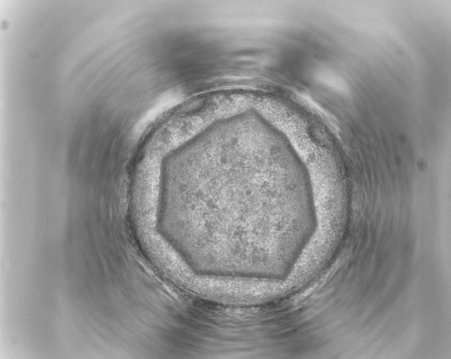 X0000088621411200706221444