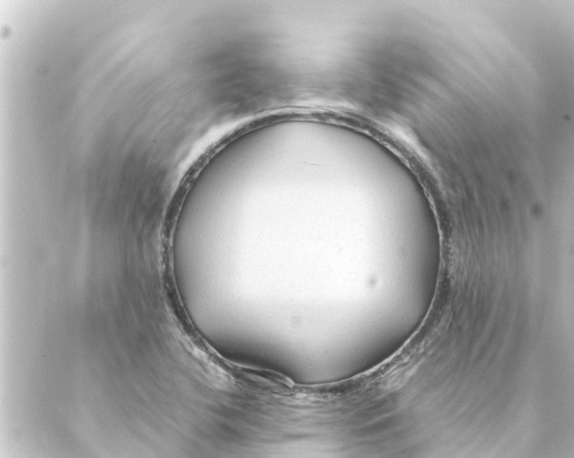 X0000088621412200706221444