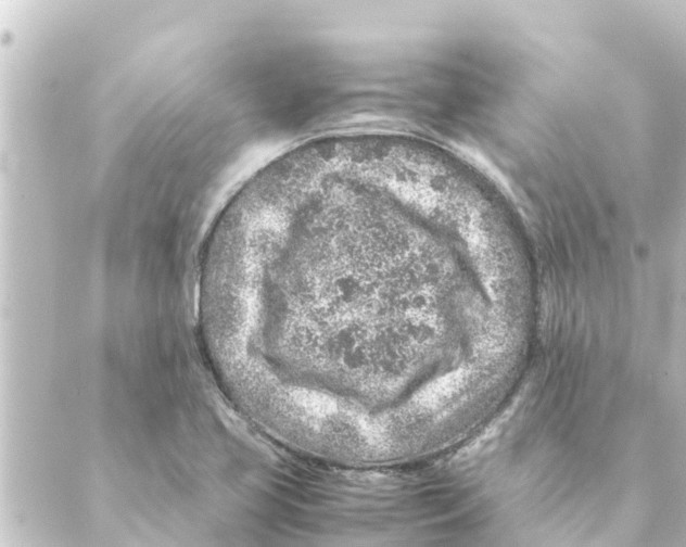 X0000088621413200706221444