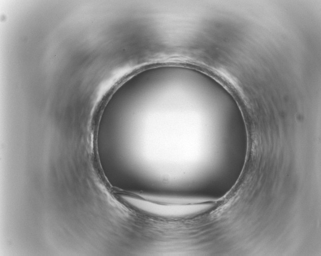 X0000088621414200706221444