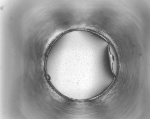 X0000088621416200706221444