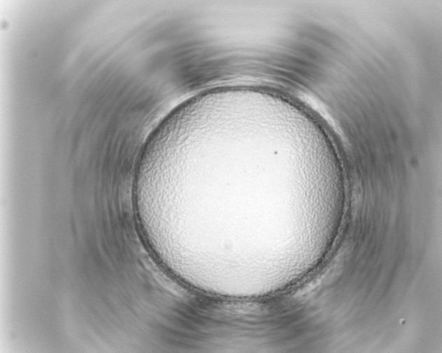 X0000088621417200706221444