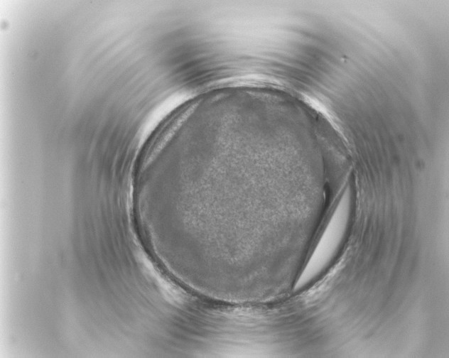 X0000088621418200706221444