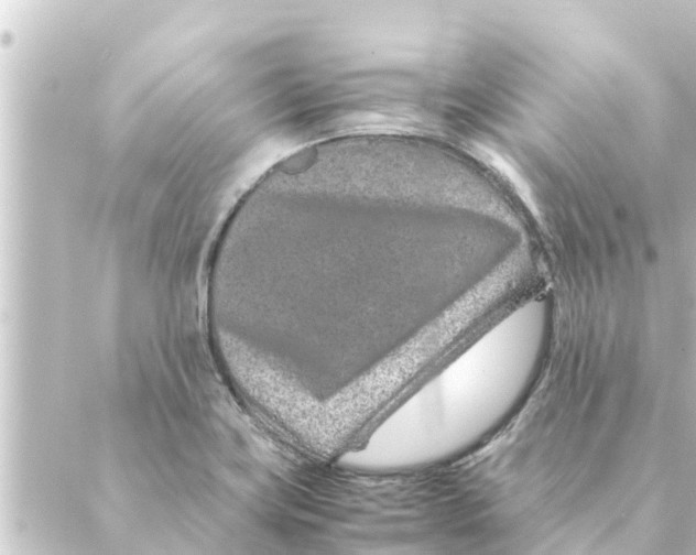 X0000088621419200706221444