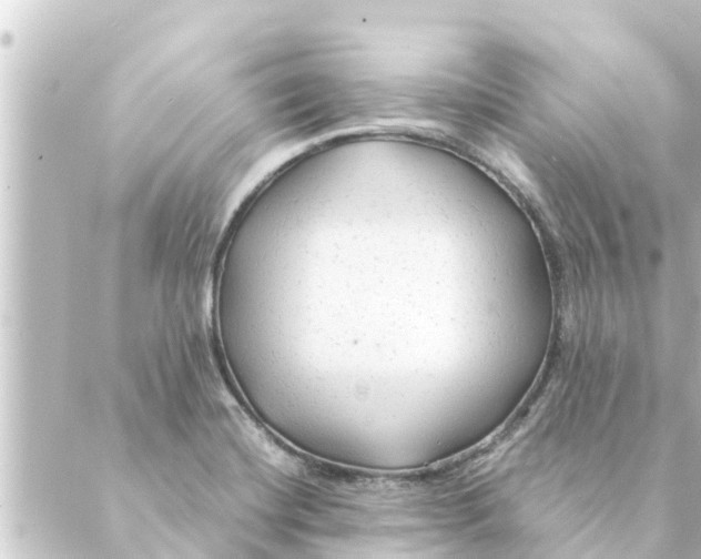 X0000088621420200706221444