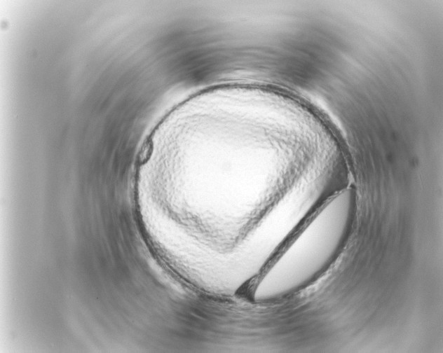 X0000088621421200706221444