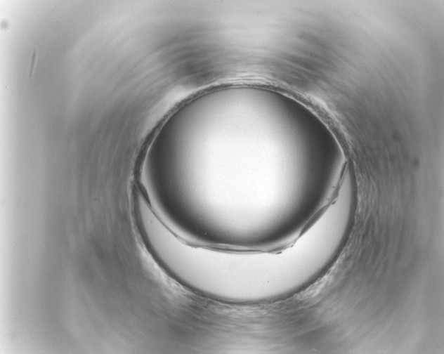 X0000088621422200706221444