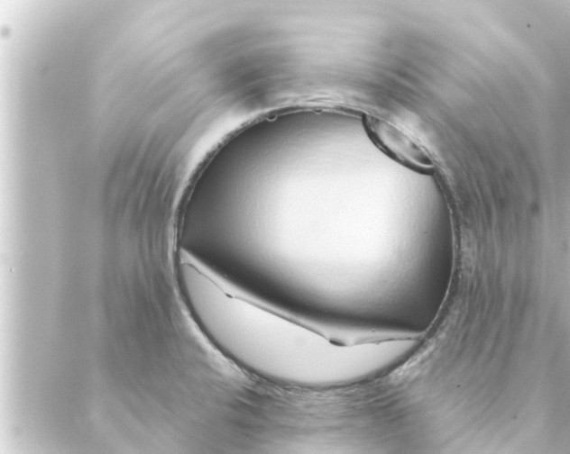 X0000088621424200706221444