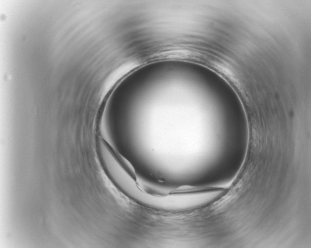 X0000088621426200706221444