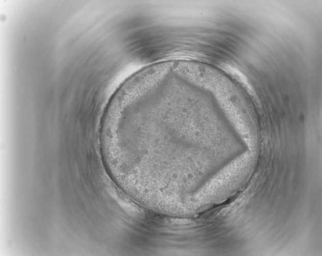 X0000088621427200706221444