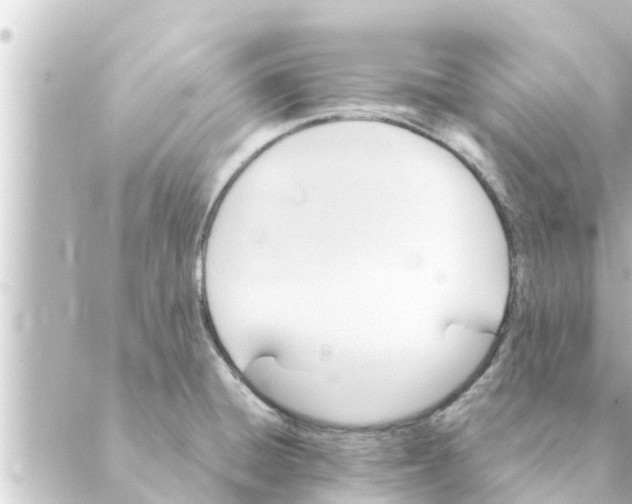 X0000088621428200706221444