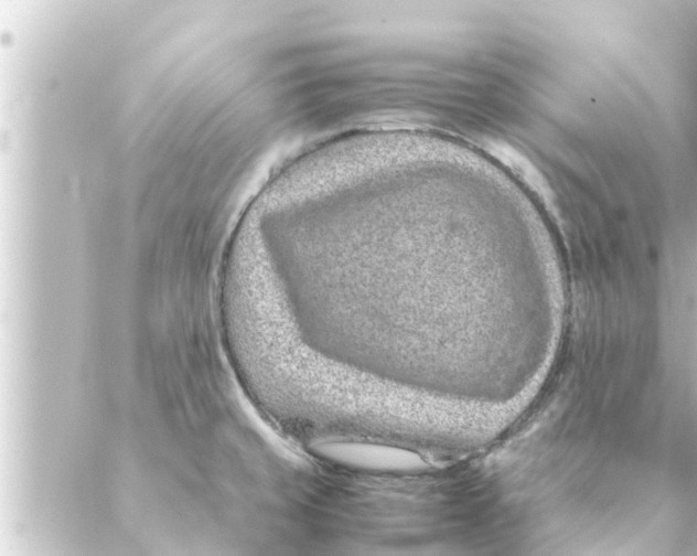 X0000088621429200706221444