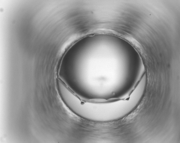 X0000088621430200706221444