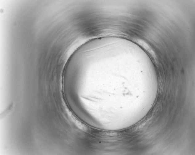 X0000088621431200706221444