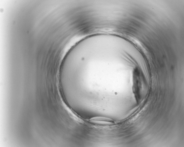 X0000088621432200706221444