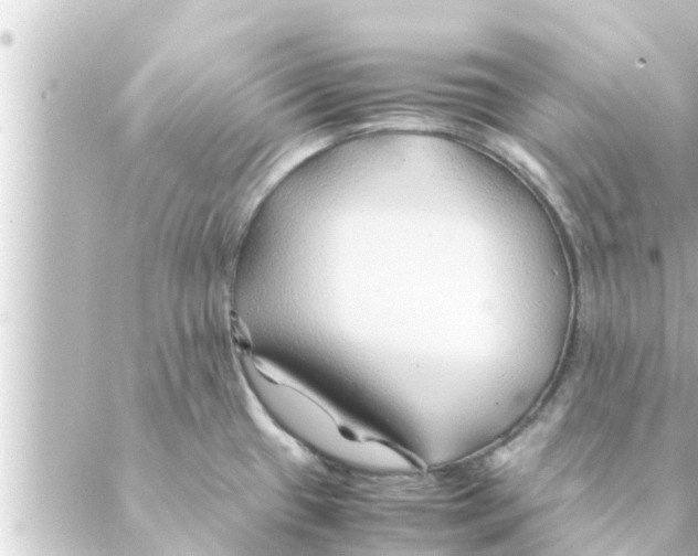 X0000088621433200706221444