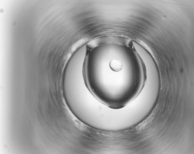 X0000088621434200706221444