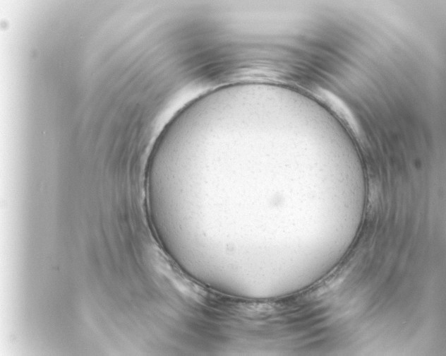 X0000088621435200706221444