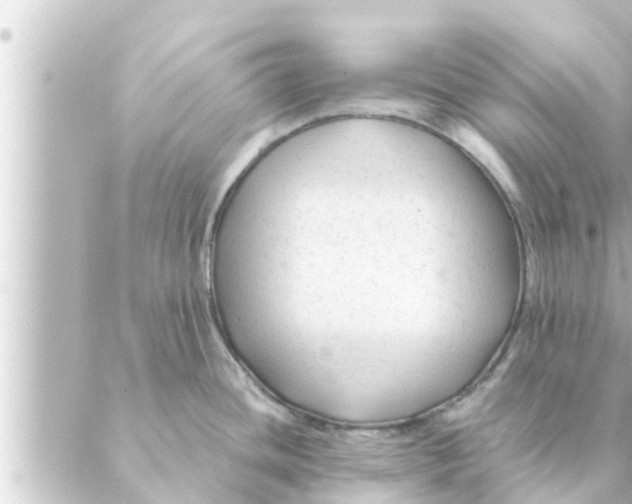 X0000088621436200706221444