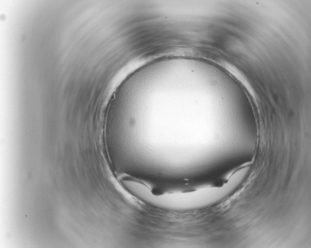 X0000088621437200706221444